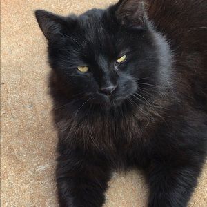 Meet your Posher, Marah